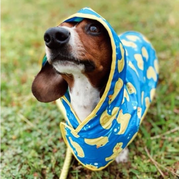 Meet your Posher, Emily - Picture 1 of 2